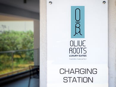 Olive Roots Thassos - Image 7