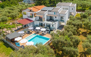 Olive Roots Thassos - Image 5