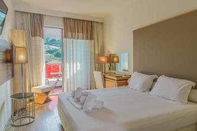 Double Room Mountain View
