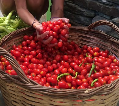 Onar Andros - Image 7