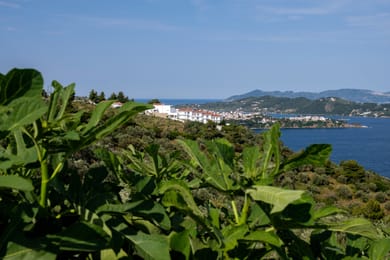 Oniro Skiathos - Image 7