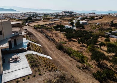 Opuntia Suites - Image 2