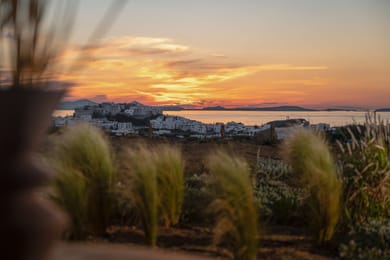 Opuntia Suites - Image 4