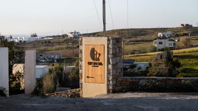 Opuntia Suites - Image 5