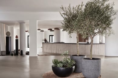 Orama Hotel & Spa - Image 3