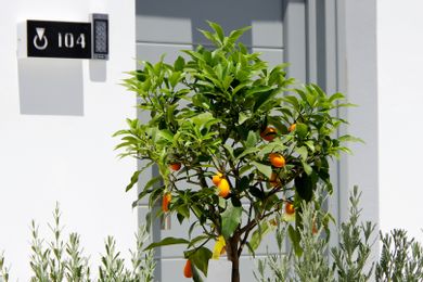 Oro Suites Syros - Image 6