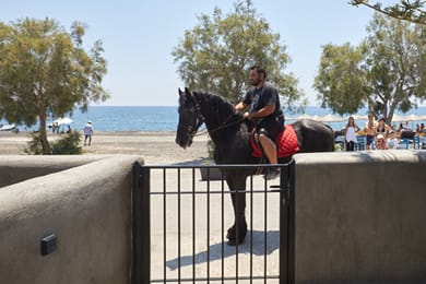 Oscar Beachfront Suites - Image 3