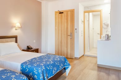 Twin Standard room