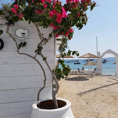 Ostria Studios & Apartments - Image 4