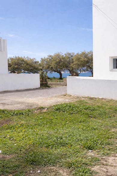 Ostria Vento - Image 2