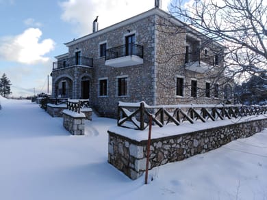 Xenonas Ouranogeiton - Image 4