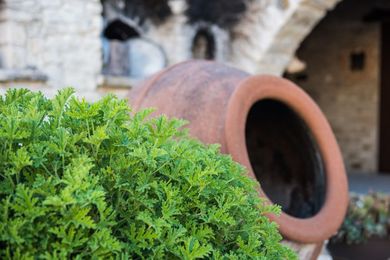 Our House Vavla Cyprus - Image 6