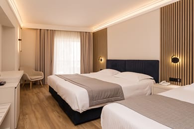 Triple room with Hill view