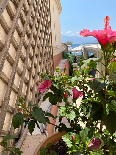 Palazzo Arhontiko Apartments - Image 3