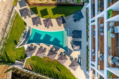 The Palmiers - Image 7