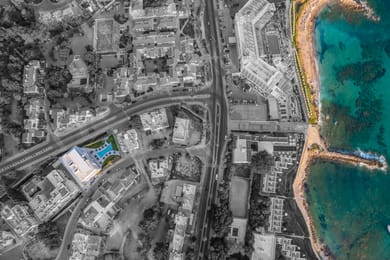 The Palmiers - Image 3