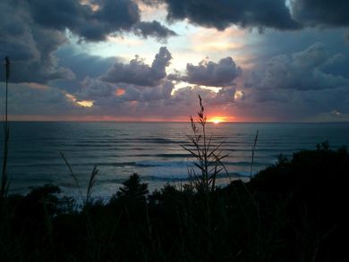 Palmina Mare Studios - Image 2