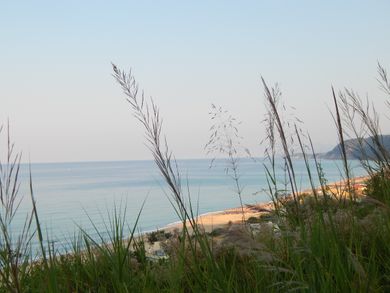 Palmina Mare Studios - Image 3