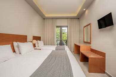 Triple Garden View Room