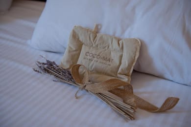 Palmyra Hotel Zakynthos - Image 4