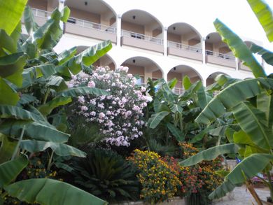 Paradise Lost Hotel-Apartments - Image 6