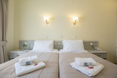 Budget Triple Room