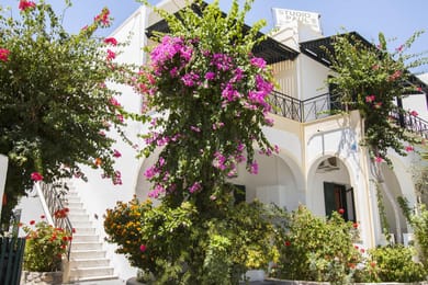 Paul's Studio Santorini - Image 6