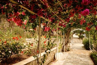 Agali Hotel Paxos - Image 6