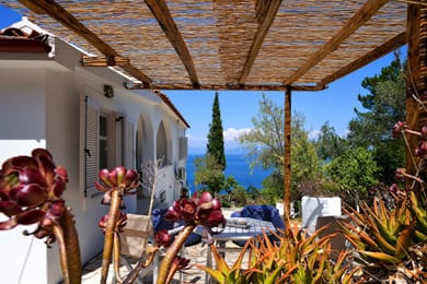 Paxos Blue - Image 4