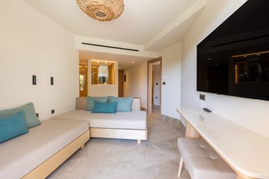 Executive | Suite Swim-up Sharing Pool