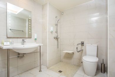 Accessible Room (Land View)