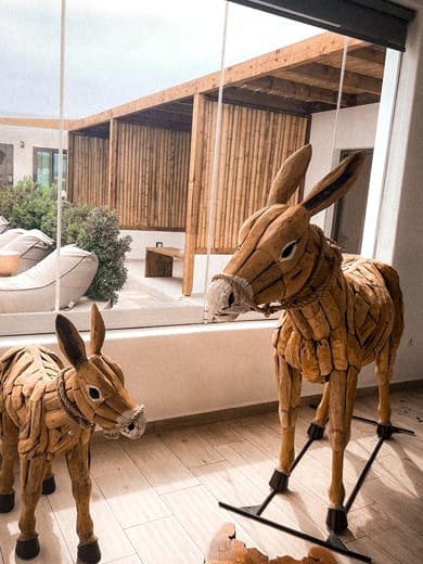 Petinaros Hotel Mykonos - Image 5