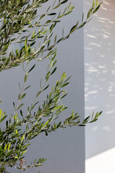 Phos Milos - Image 5