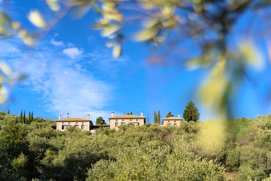 Gems of Pinakates - Image 3