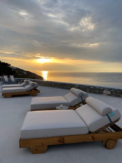 Pino Di Loto - Image 3