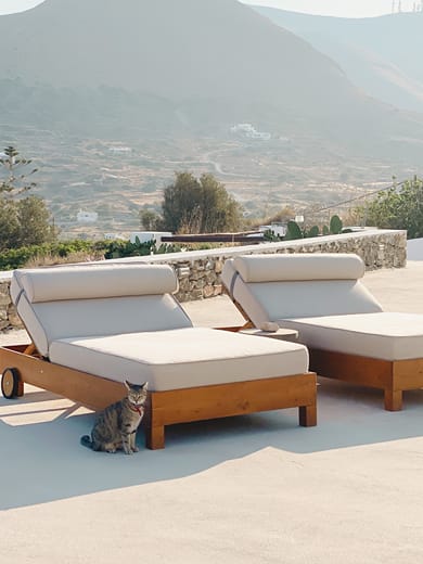 Pino Di Loto - Image 6