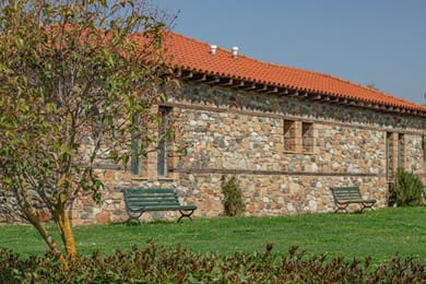 Platanorema