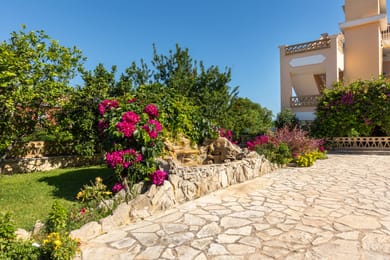 Playa del Zante - Image 7