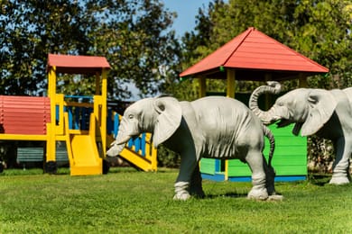 Plaza Resort Hotel - Image 5