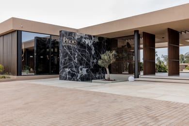 Pnoe Breathing Life - Image 2