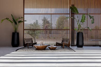 Pnoe Breathing Life - Image 4