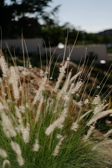 Pnoes Skyros - Image 7