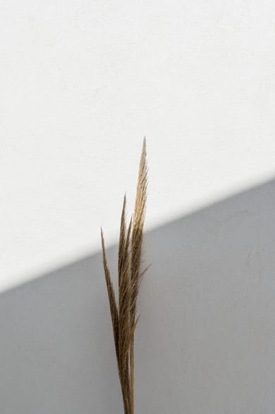 Poema Antiparos - Image 3