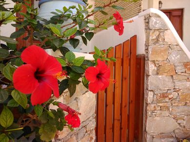 Polikandia Hotel Folegandros - Image 3