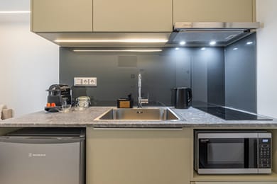 One-Bedroom Premier Apartment