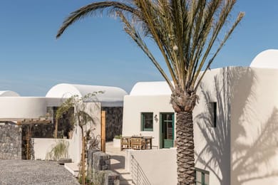 Patina & Vivera - Image 5