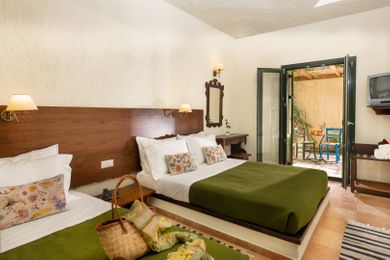 Superior Apartment with Garden View