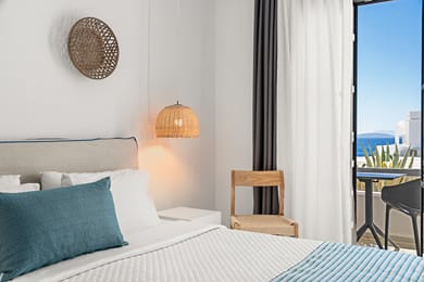 Disability Access Double Room with Sea View 17m²