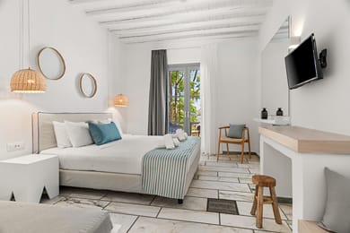 Premium Double Room with Garden View 22m²