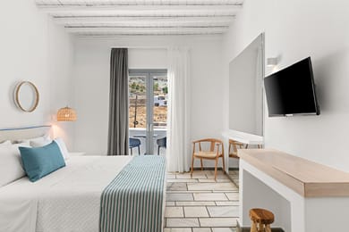 Cozy Room with Courtyard View 17m²